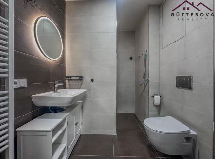 IMG_7084 | Pronájem bytu, 2+kk, 47 m²