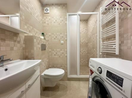 IMG_4720 | Pronájem bytu, 1+kk, 35 m²