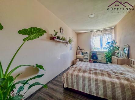 IMG_8564 | Pronájem bytu, 3+kk, 55 m²