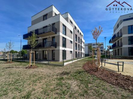 IMG_8802 | Pronájem bytu, 2+kk, 59 m²