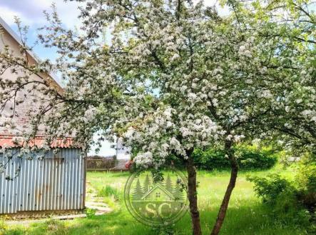5c713aad-5337-4324-b446-5ab4bc57d5ff.jpg | Prodej - dům/vila, 197 m²