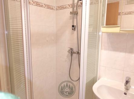 upravena_fotka7.jpg | Pronájem bytu, 1+1, 31 m²