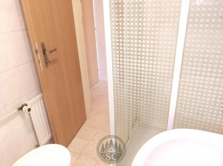 upravena_koupelna2.jpg | Pronájem bytu, 1+1, 31 m²