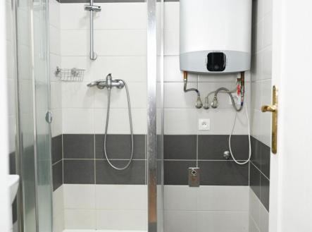 DSC_9719.jpg | Pronájem bytu, 2+kk, 45 m²