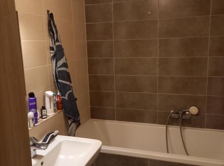 IMG_9618.jpeg | Pronájem bytu, 4+kk, 80 m²