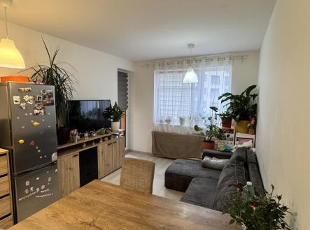 IMG_0550.jpeg | Pronájem bytu, 4+kk, 80 m²