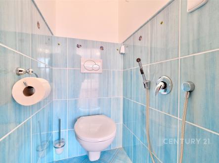 . | Pronájem bytu, 3+kk, 63 m²