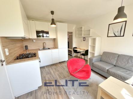 IMG_7871 | Pronájem bytu, 2+kk, 36 m²