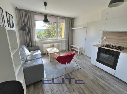 IMG_7868 | Pronájem bytu, 2+kk, 36 m²