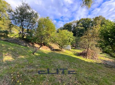 00119_pozemek4 | Prodej - pozemek pro bydlení, 4 461 m²