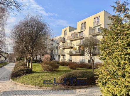 Pronájem bytu, 1+1, 58 m²