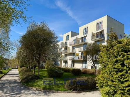 00153_3 | Pronájem bytu, 1+1, 58 m²