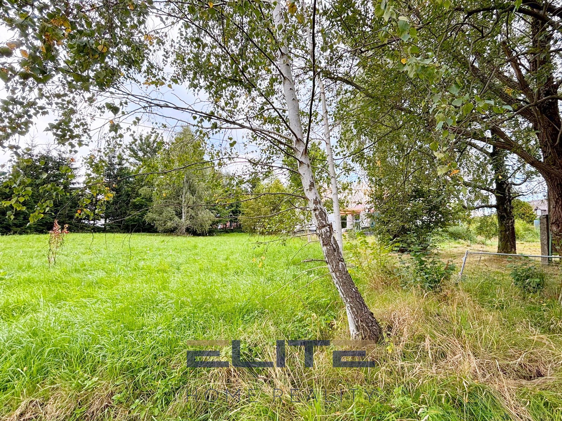 WhatsApp Image 2025-09-09 at 15.13.51