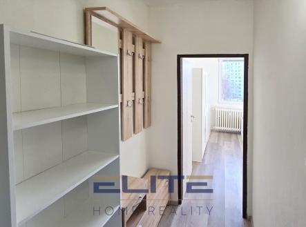 N00231_předsíň | Pronájem bytu, 1+kk, 20 m²