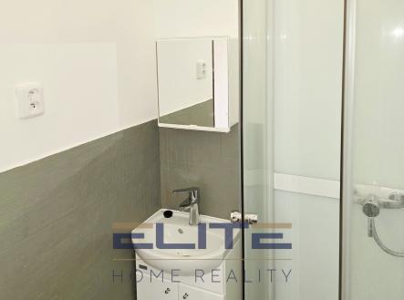 N00231_koupelna | Pronájem bytu, 1+kk, 20 m²