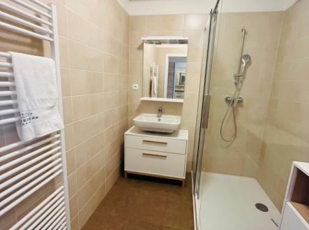 img-1005.jpg | Pronájem bytu, 1+kk, 50 m²