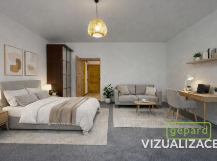 002-viz.png | Pronájem bytu, 1+1, 44 m²