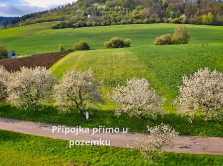 ebrov-Kateřina-7 | Prodej - pozemek pro bydlení, 1 830 m²