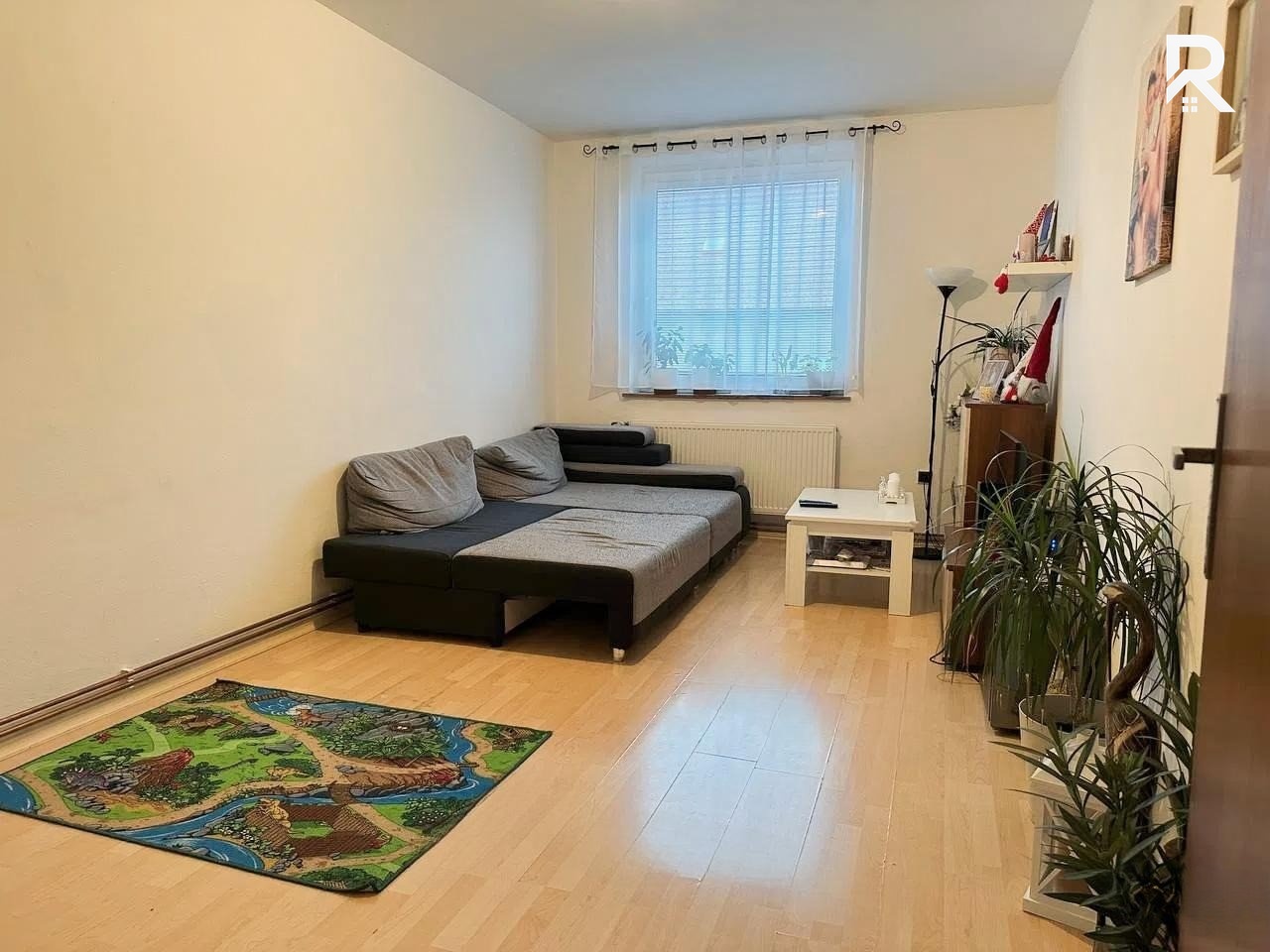 snapedit_1765203511788