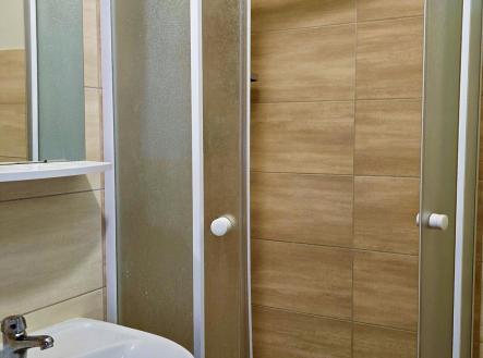 20260219_105003 | Pronájem bytu, 2+1, 54 m²