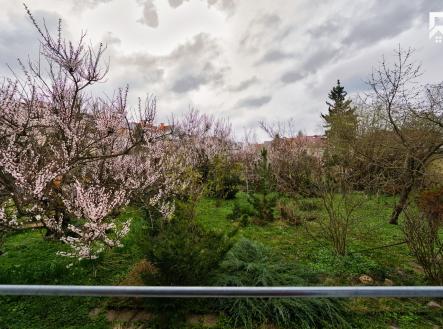 Cernovicka-17 | Prodej bytu, 2+kk, 70 m²