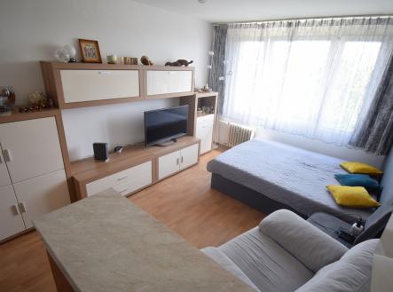 dsc-0646.jpg | Prodej bytu, 1+kk, 25 m²