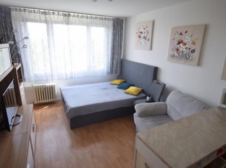 dsc-0644.jpg | Prodej bytu, 1+kk, 25 m²