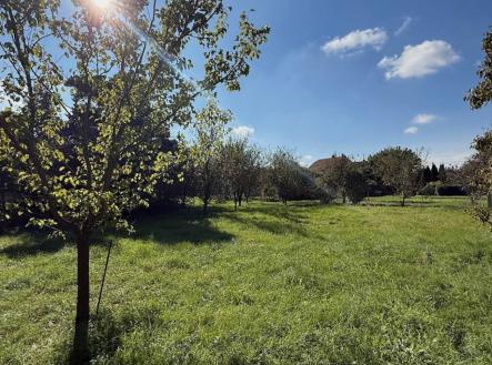 Prodej - pozemek pro bydlení, 763 m²