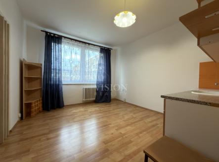 img-9479.jpeg | Pronájem bytu, 1+1, 39 m²