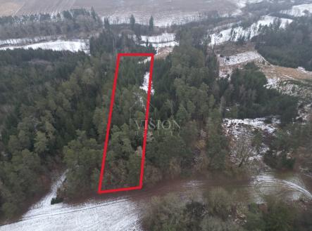 Prodej - pozemek, les, 4 287 m²