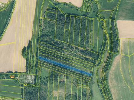 a0d1d2d8-6fde-4c2a-8855-87c50fb9590a.png | Prodej - pozemek, les, 4 287 m²