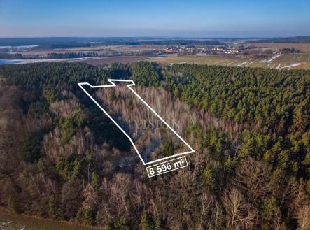 jkaka.jpg | Prodej - pozemek, les, 12 910 m²