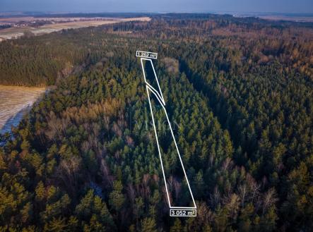 nigga.jpg | Prodej - pozemek, les, 12 910 m²