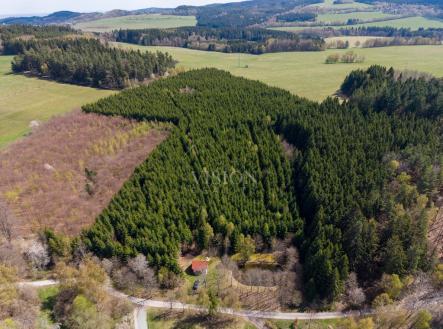 pozemek-3-exp-teri-2.jpg | Prodej - pozemek, les, 50 859 m²