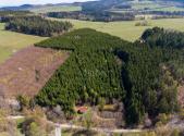 Prodej - pozemek, les, 50 859 m²