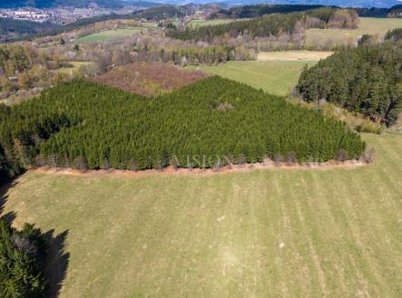 pozemek-3-exp-teri-11.jpg | Prodej - pozemek, les, 50 859 m²