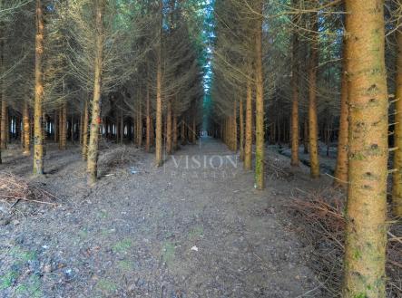 untitled-453.jpg | Prodej - pozemek, les, 50 859 m²