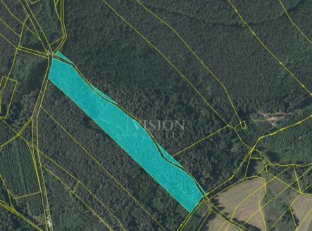 Prodej - pozemek, les, 27 366 m²