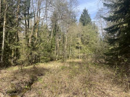 img-7201.jpeg | Prodej - pozemek, les, 27 366 m²