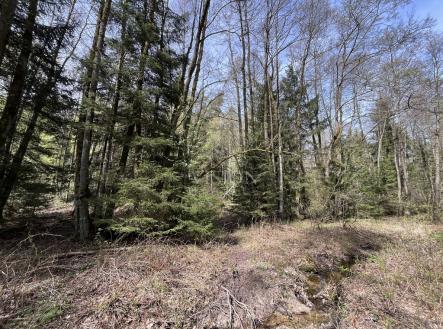 img-7202.jpeg | Prodej - pozemek, les, 27 366 m²