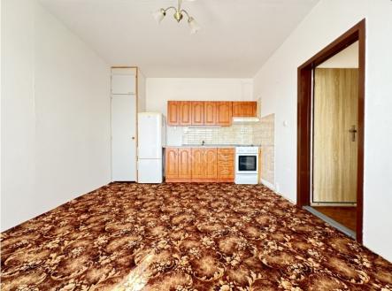 bez-nazvu.jpg | Pronájem bytu, 1+1, 47 m²