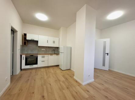 Pronájem bytu, 1+1, 47 m²