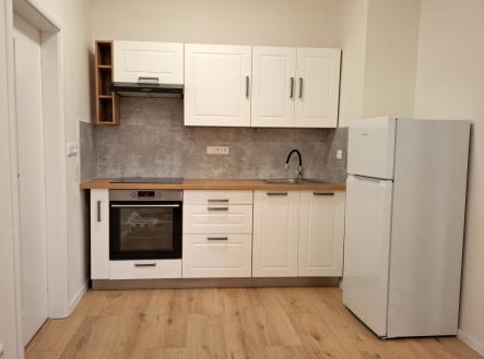 Pronájem bytu, 1+1, 47 m²