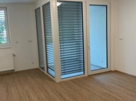 img-0300.jpeg | Pronájem bytu, 1+kk, 35 m²
