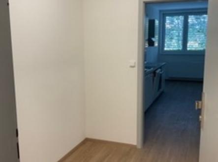 img-0295.jpeg | Pronájem bytu, 1+kk, 35 m²