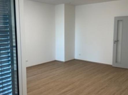 img-0301.jpeg | Pronájem bytu, 1+kk, 35 m²