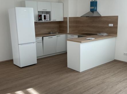img-0315.jpeg | Pronájem bytu, 1+kk, 2 366 m²