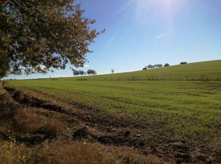 Prodej - pozemek pro bydlení, 900 m² obrázek