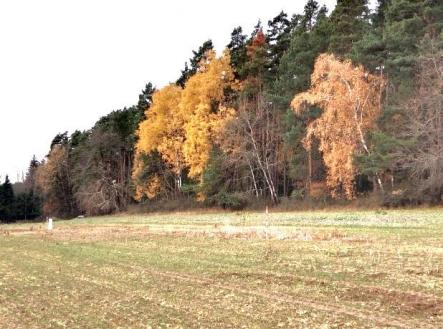 Bez popisku | Prodej - pozemek pro bydlení, 2 775 m²