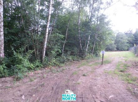 SAM_3351 | Prodej - pozemek pro bydlení, 6 184 m²